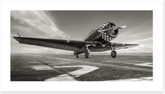 Warbird wings