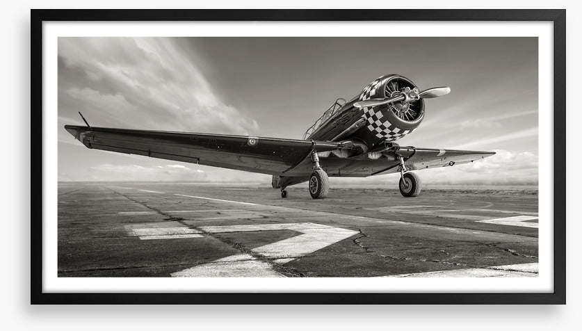 Warbird wings