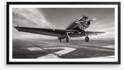 Warbird wings