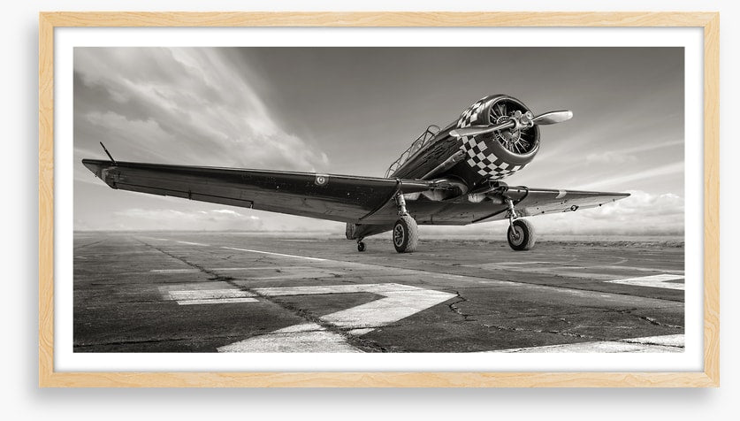 Warbird wings