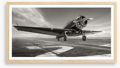 Warbird wings