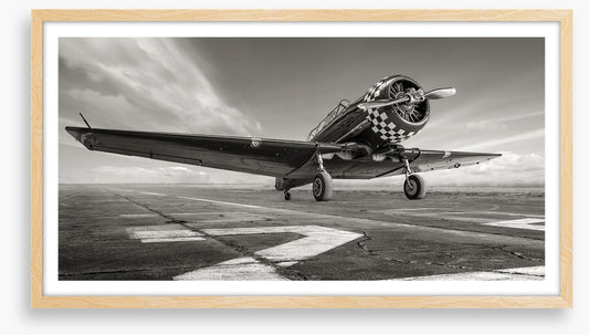 Warbird wings