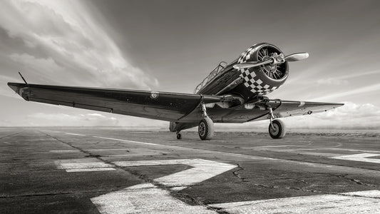 Warbird wings