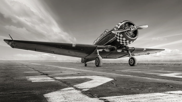 Warbird wings