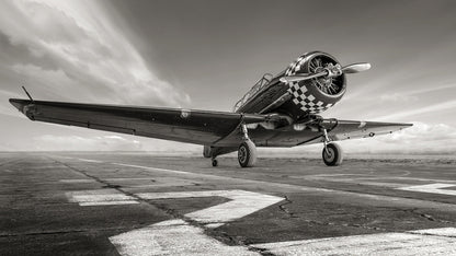 Warbird wings