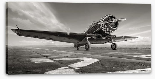 Warbird wings