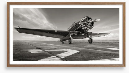 Warbird wings