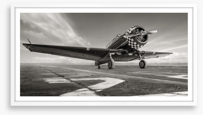Warbird wings