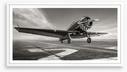 Warbird wings