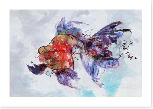 Red fish swim
