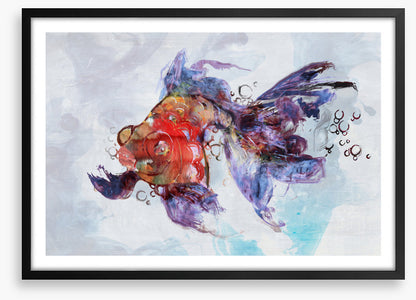 Red fish swim