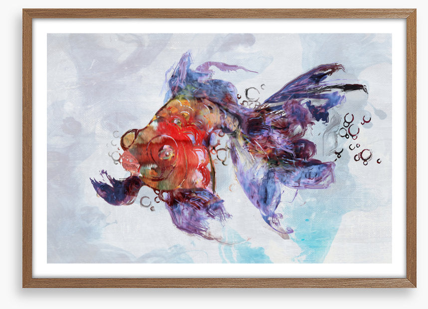 Red fish swim