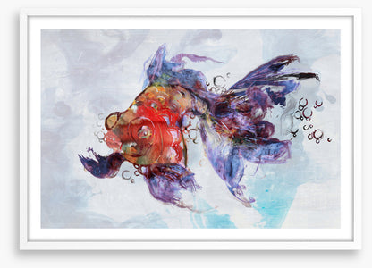 Red fish swim