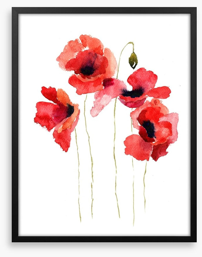 Poppies stripped bare