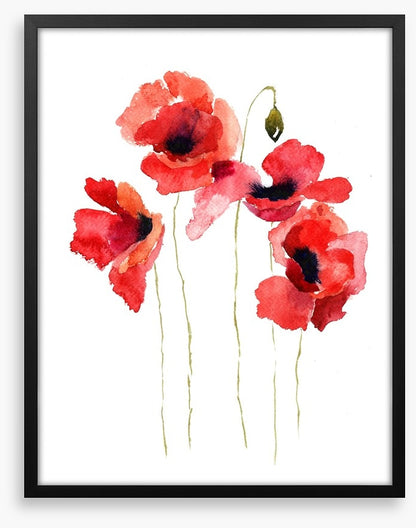Poppies stripped bare
