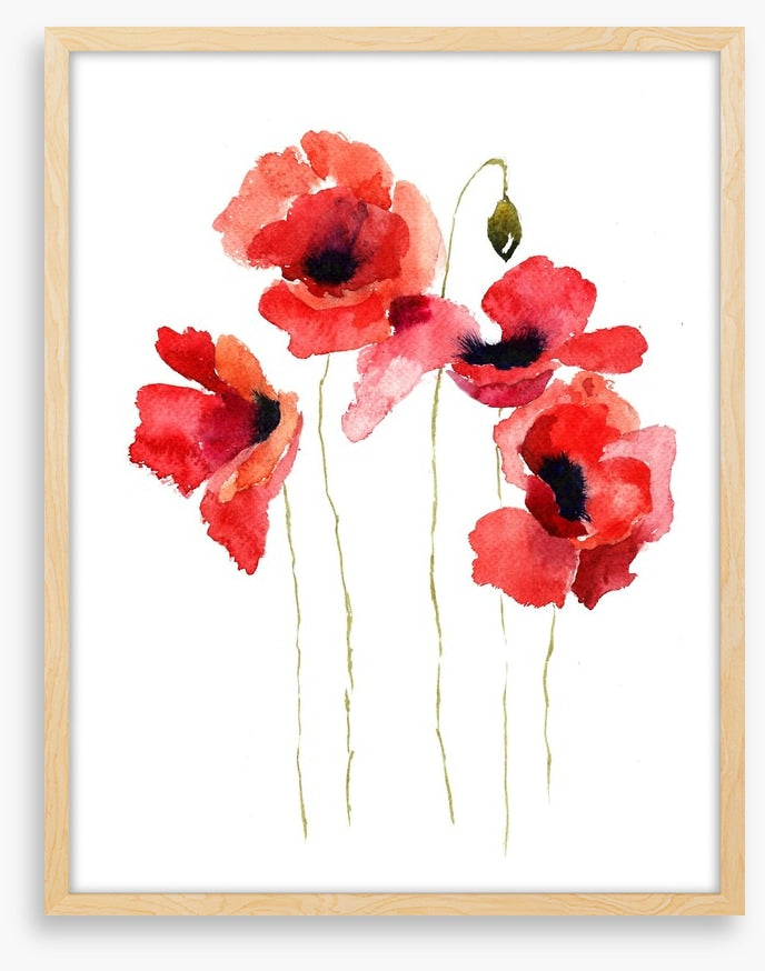 Poppies stripped bare