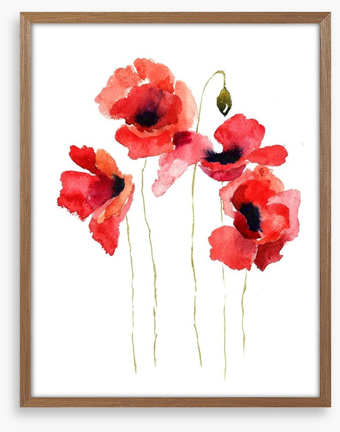 Poppies stripped bare