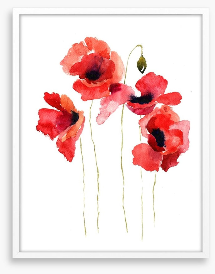 Poppies stripped bare