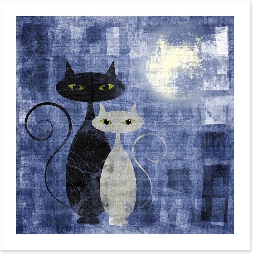 The moonlight cats