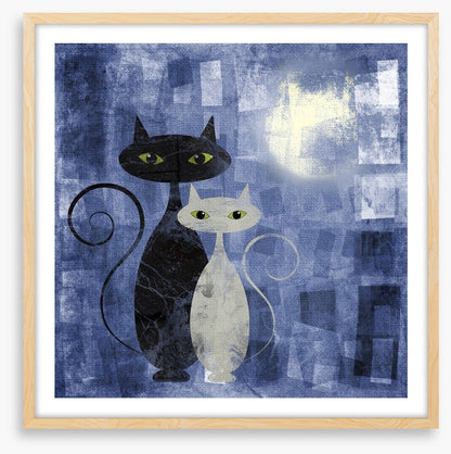 The moonlight cats