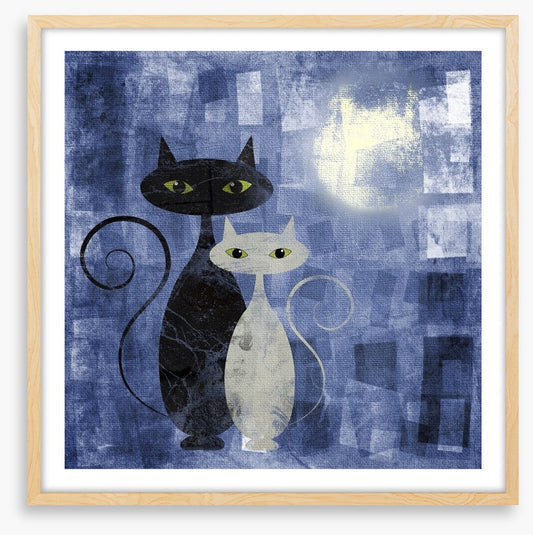 The moonlight cats