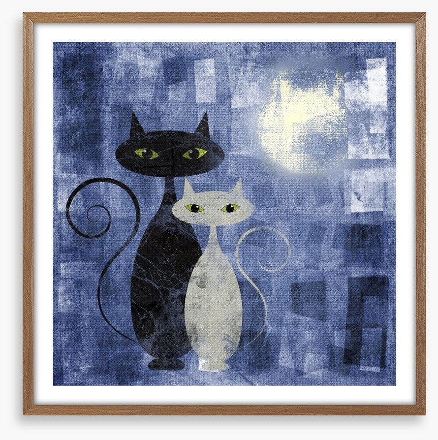 The moonlight cats