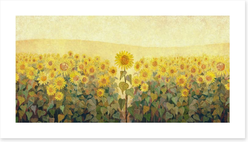 The special sunflower