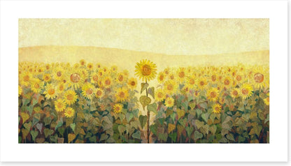 The special sunflower