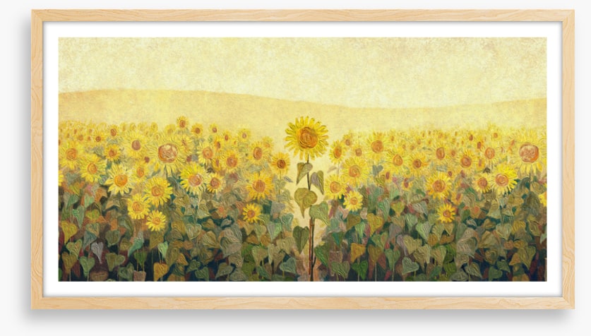 The special sunflower