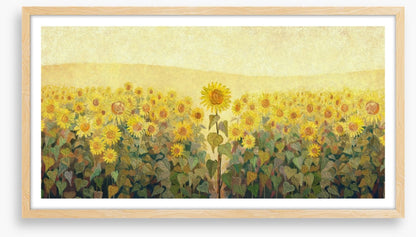 The special sunflower