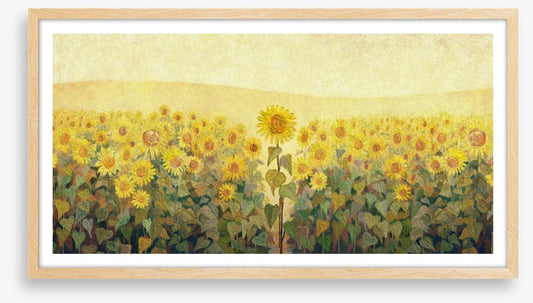 The special sunflower
