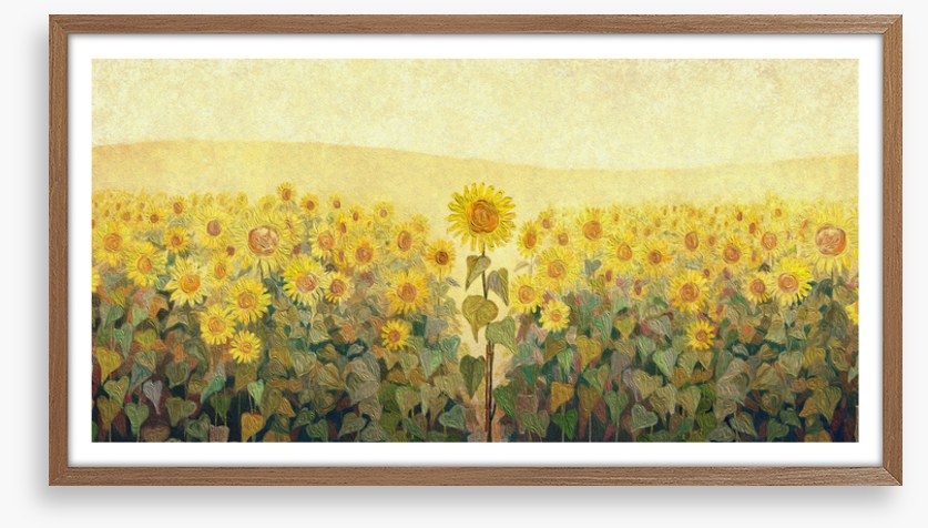 The special sunflower