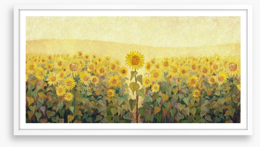 The special sunflower
