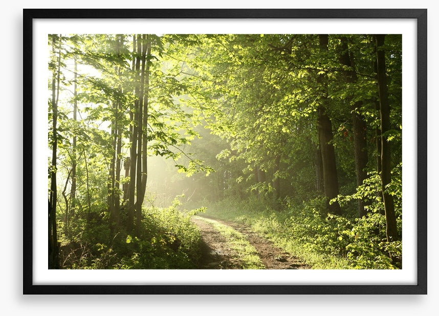 Road towards dawn