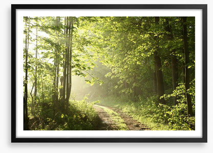 Road towards dawn
