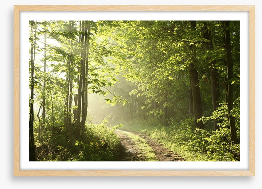Road towards dawn