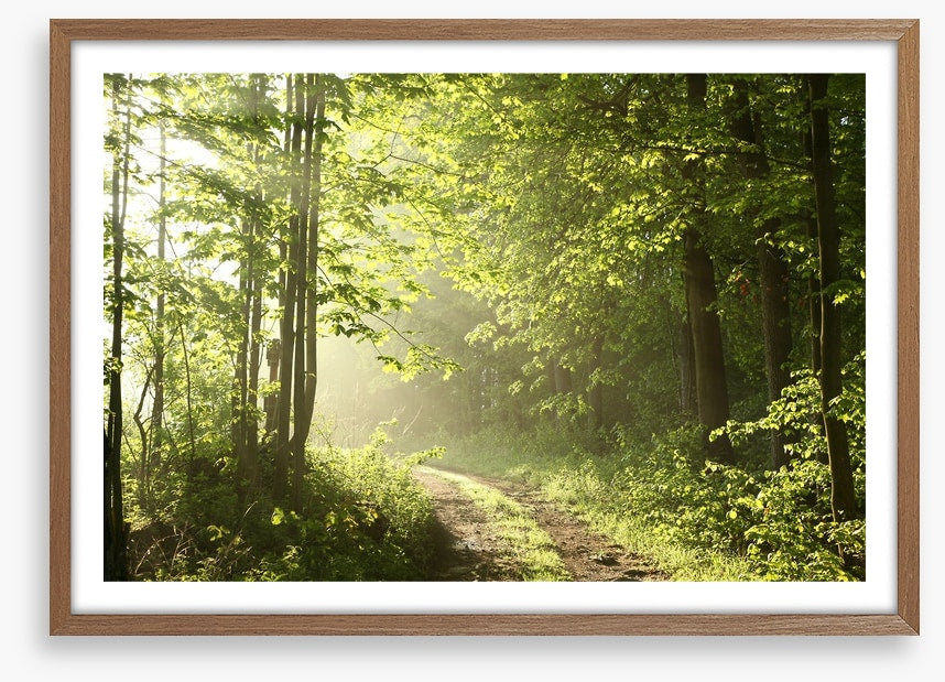 Road towards dawn