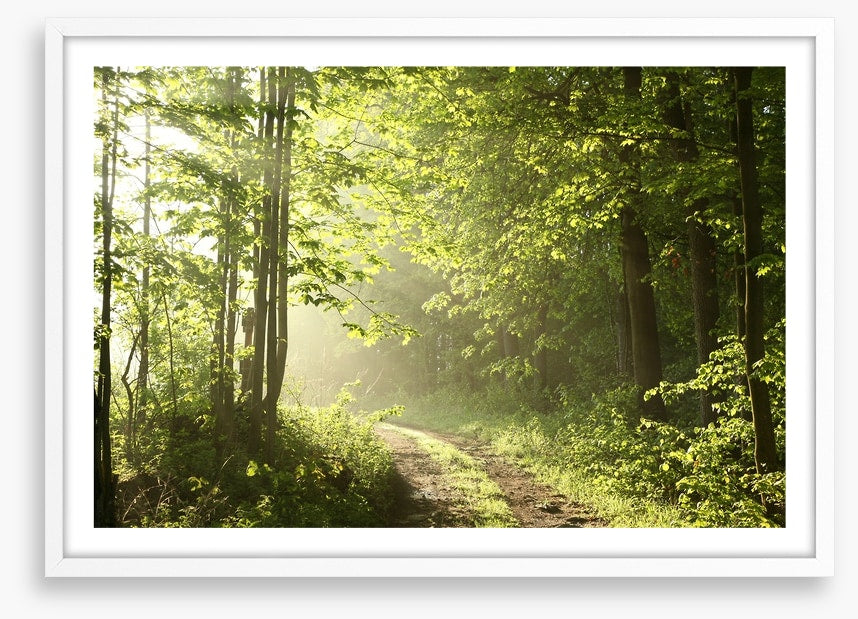 Road towards dawn