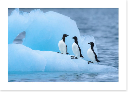 Glaciers