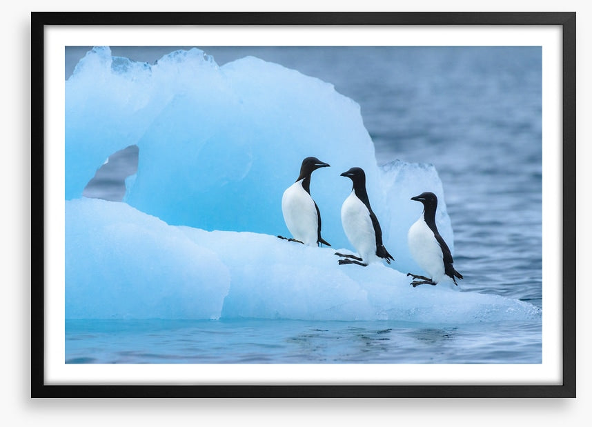 Glaciers