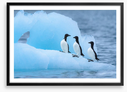 Glaciers