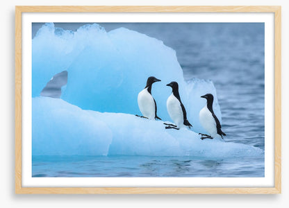Glaciers