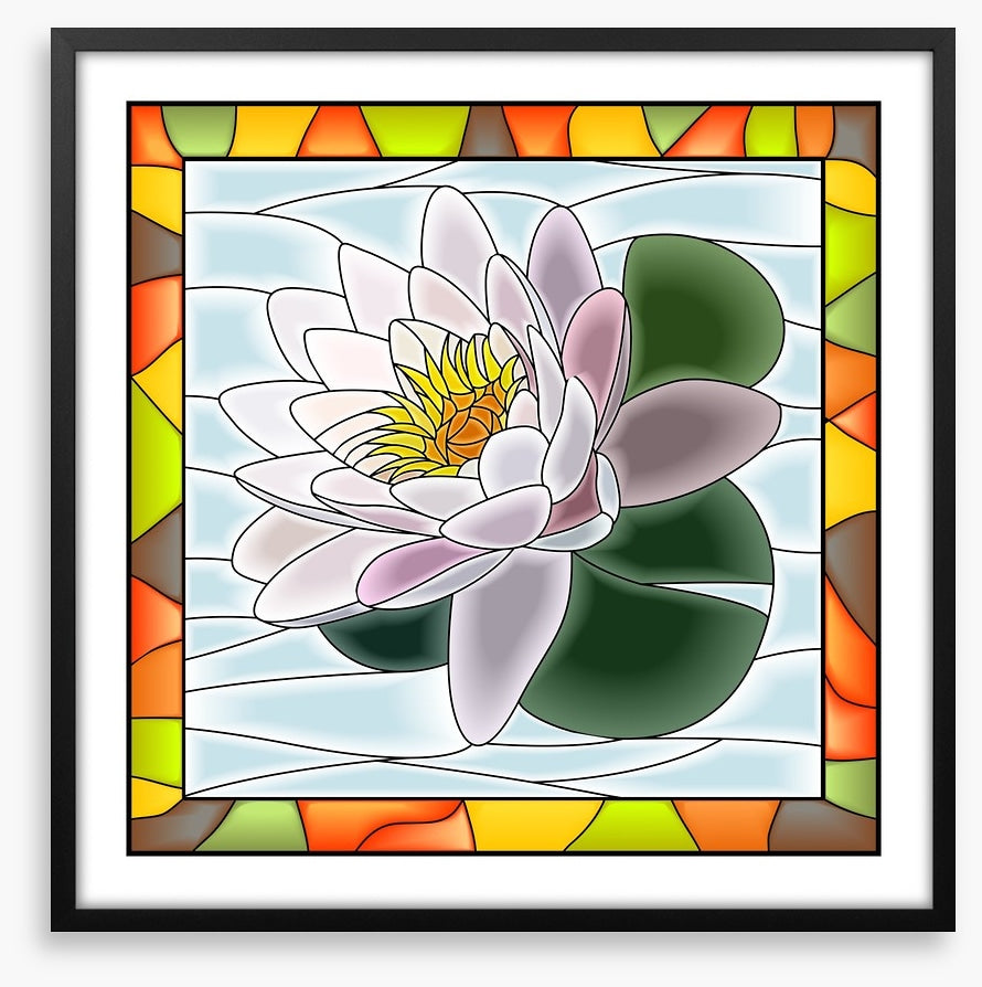 The waterlily window