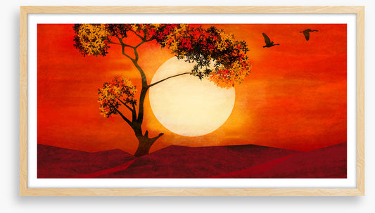 Sundown shadows