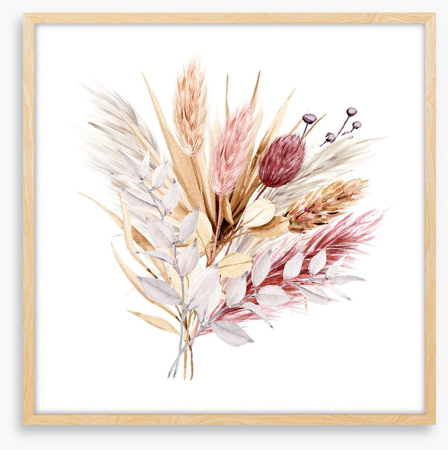 Pampas grass blush