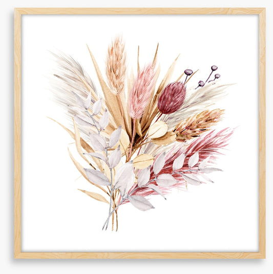 Pampas grass blush