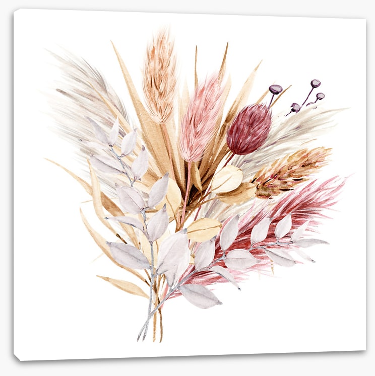 Pampas grass blush