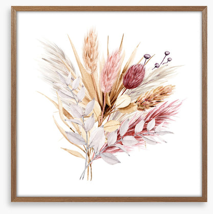 Pampas grass blush
