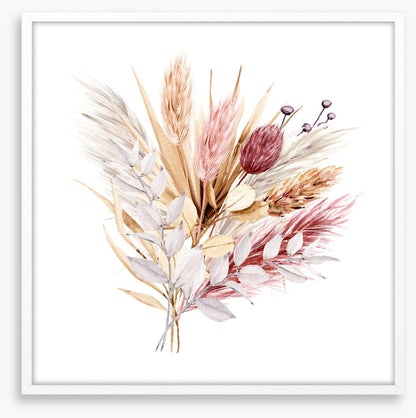 Pampas grass blush