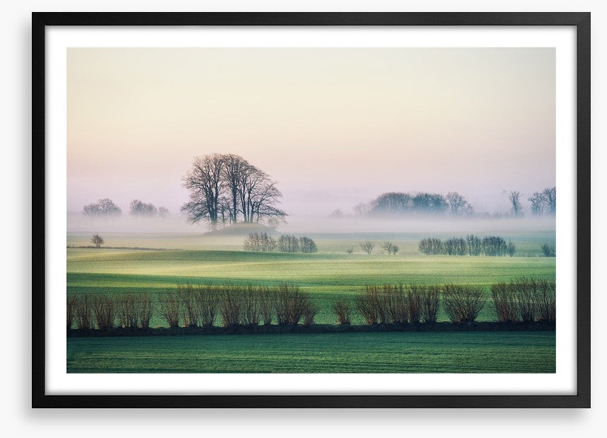 Rolling mist